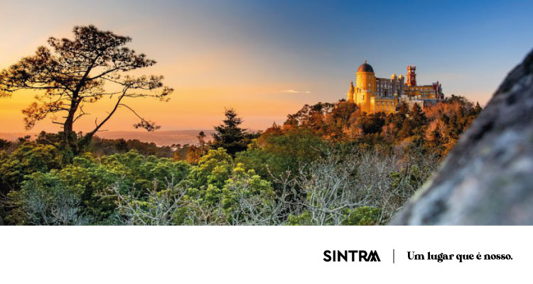  Parques de Sintra é a melhor empresa do mundo em conservação da última década